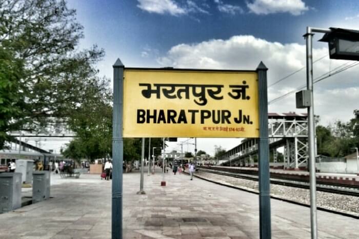 Cómo llegar al Santuario de aves Bharatpur