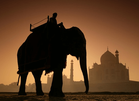 Taj Mahal Honeymoon India