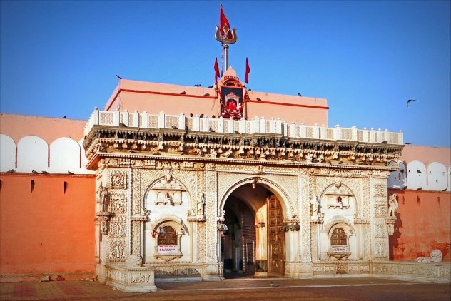 Templo de Karni mata, Rajasthan